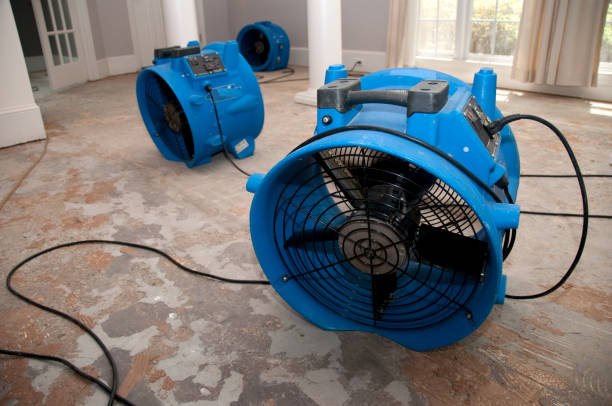 Best Emergency water damage restoration  in Hrison, AR
